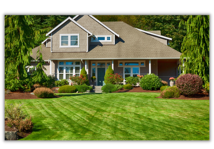 Landscaping: Exterior clean-up basics